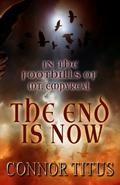 In The Foothills of Mt. Empyreal: The End is Now by Crystal Connor