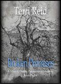 Broken Promises by Terri Reid