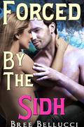 Forced By The Sidh  (Lisa's Forced Seduction) by Bree Bellucci