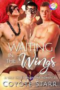 Waiting in the Wings: A Valentine Romance (Vale Valley Season Two, #3) by Coyote Starr