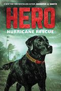 Hero: Hurricane Rescue by Jennifer Li Shotz