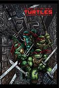 Teenage Mutant Ninja Turtles: The Ultimate Collection, Vol. 4 (Teenage Mutant Ninja Turtles: The Ultimate Collection #4) by Mary Kelleher