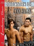 A Cold Winter's Day by Lynn Hagen