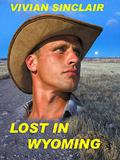 Lost In Wyoming  (Maitland Legacy, A Family Saga Book 1) by Vivian Sinclair