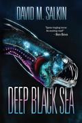 Deep Black Sea by David M. Salkin