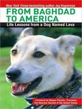From Baghdad to America: Life Lessons from a Dog Named Lava (Lava #2) by Christopher Lane