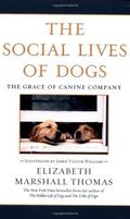 The Social Lives of Dogs: The Grace of Canine Company by Elizabeth Marshall Thomas