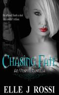 Chasing Fate (Unspun #3) by Elle J. Rossi