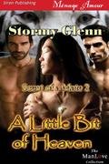 A Little Bit of Heaven by Stormy Glenn