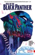 Rise of the Black Panther (Rise of the Black Panther #1-6) by Evan Narcisse