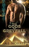 The Gods of Greyfall Collection by A.J. Norris