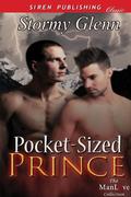 Pocket-Sized Prince by Stormy Glenn
