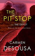 The Pit Stop: This Stop Could be Life or Death by Carmen DeSousa