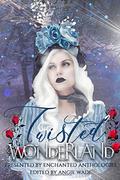 Twisted Wonderland by Amy Cecil