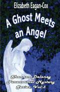 A Ghost Meets an Angel (Shannon Delaney #3) by Elizabeth Eagan-Cox