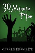 30 Minute Plan by Gerald Dean Rice