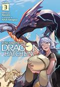 Reincarnated as a Dragon Hatchling  (Light Novel) Vol. 3 (Reincarnated as a Dragon Hatchling Novel #3) by Necoco