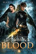 Assassin's Blood (Thirteen Realms: Thief of Souls #1) by Marina Finlayson