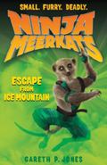 Escape from Ice Mountain (Ninja Meerkats #3) by Gareth P. Jones