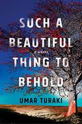 Such a Beautiful Thing to Behold: A Novel by Umar Turaki