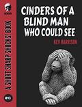 Cinders of a Blind Man Who Could See by Kev Harrison