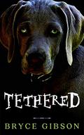 Tethered: County Line Horror #4 by Bryce Gibson