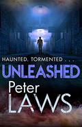 Unleashed (Matt Hunter #2) by Peter Laws