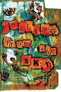 Falling from the Sky by Madhvi Ramani