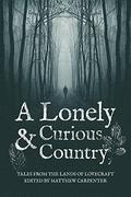 A Lonely and Curious Country by Paul R. McNamee