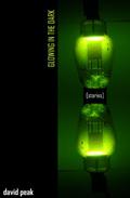 Glowing in the Dark by David Peak