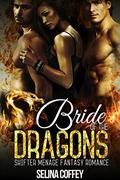 Bride of the Dragons by Selina Coffey
