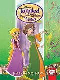 Tangled: The Series: Hair and Now (Tangled: The Series #4) by Katie Cook
