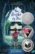Too Bright to See by Kyle Lukoff