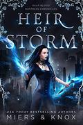 Heir of Storm (Half-Blood Huntress Chronicles #2) by D.D. Miers