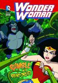Wonder Woman: Rumble in the Rainforest by Sarah Hines Stephens