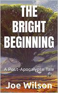 THE BRIGHT BEGINNING by Joe Wilson
