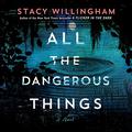 All the Dangerous Things by Stacy Willingham, Karissa Vacker