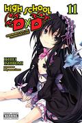 High School DxD, Vol. 11 (High School DxD Light Novel #11) by Miyama-Zero