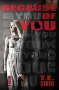 Because of You (Playing with Fire #2) by T.E. Sivec
