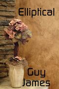 Elliptical: A Short Story by Guy James