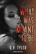 What Was Meant to Be (Blurred Lines #1) by Q.B. Tyler