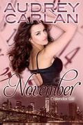 November: Calendar Girl Book 11 by Audrey Carlan