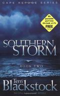 Southern Storm by Terri Blackstock