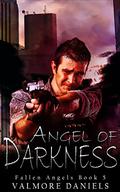 Angel of Darkness: The Last Book of Fallen Angels (Fallen Angels #5) by Valmore Daniels