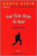 How Evan Broke His Head and Other Secrets by Garth Stein