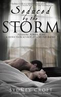 Into the Storm (ACRO #6.5) by Sydney Croft
