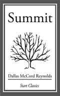 Summit by Dallas McCord Reynolds