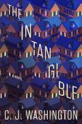 The Intangible by C.J. Washington