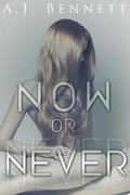 Now or Never (Alexander Twins #1) by A.J. Bennett