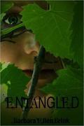Entangled (Fredrickson Winery #1) by Barbara Ellen Brink